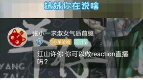 91年的羊最新直播录屏,重温经典瞬间